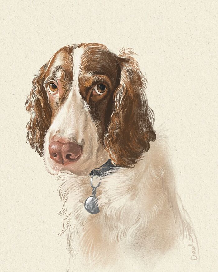 This Artist Draws Dog Portraits That Perfectly Capture Each Pet&rsquo;s Personality (76 Pics)