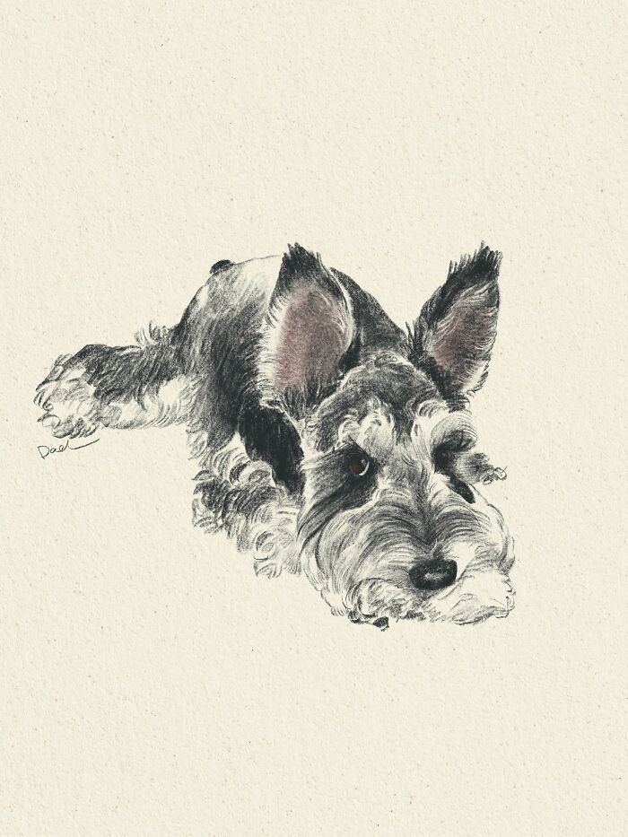 This Artist Draws Dog Portraits That Perfectly Capture Each Pet&rsquo;s Personality (76 Pics)