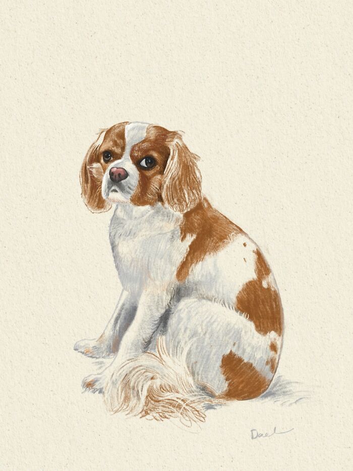 This Artist Draws Dog Portraits That Perfectly Capture Each Pet&rsquo;s Personality (76 Pics)