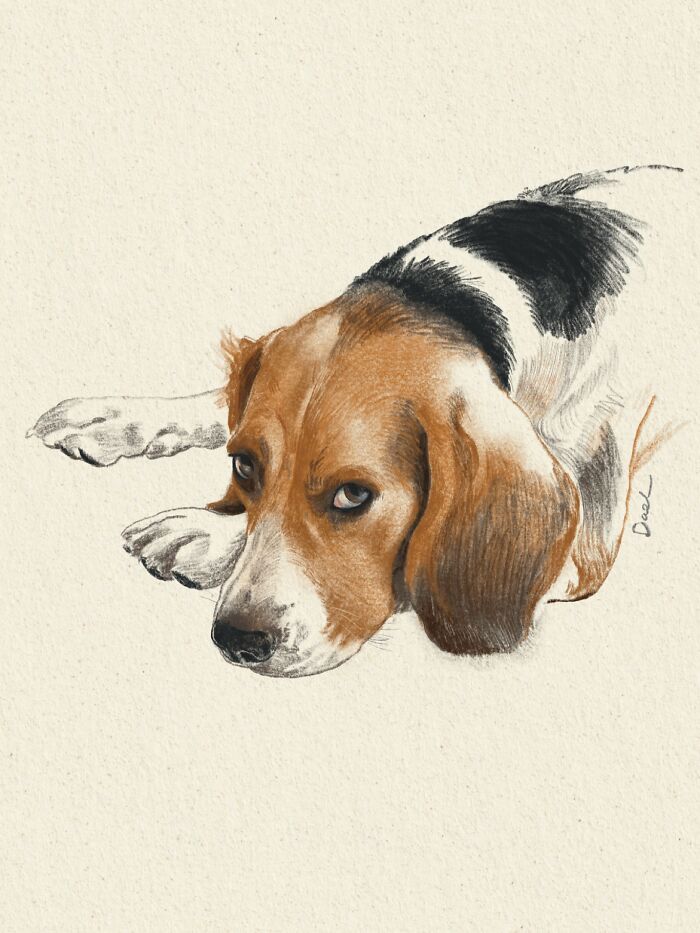 This Artist Draws Dog Portraits That Perfectly Capture Each Pet&rsquo;s Personality (76 Pics)