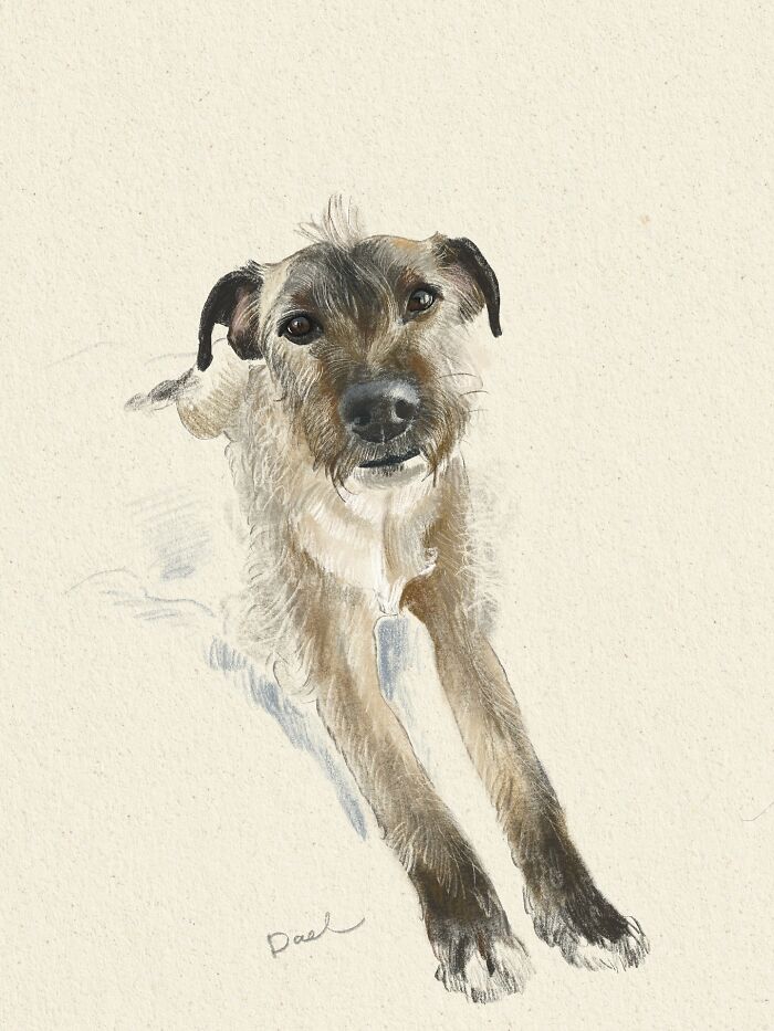 This Artist Draws Dog Portraits That Perfectly Capture Each Pet&rsquo;s Personality (76 Pics)