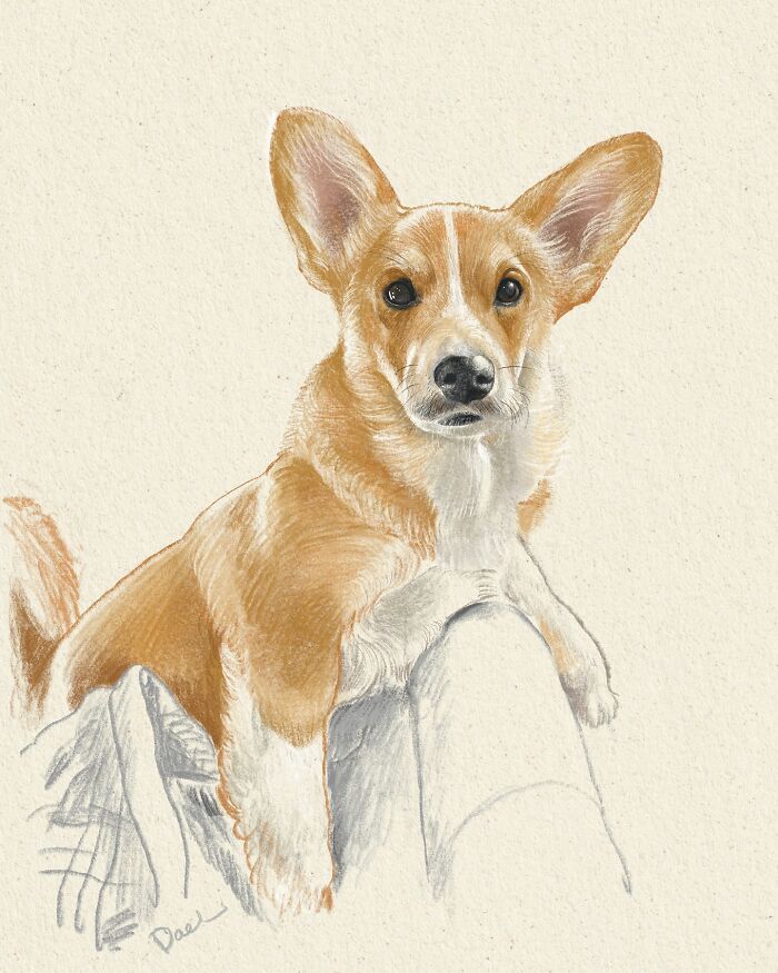 This Artist Draws Dog Portraits That Perfectly Capture Each Pet&rsquo;s Personality (76 Pics)