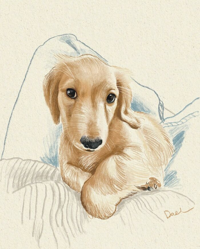 This Artist Draws Dog Portraits That Perfectly Capture Each Pet&rsquo;s Personality (76 Pics)
