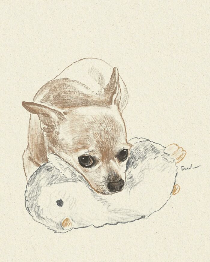 This Artist Draws Dog Portraits That Perfectly Capture Each Pet&rsquo;s Personality (76 Pics)