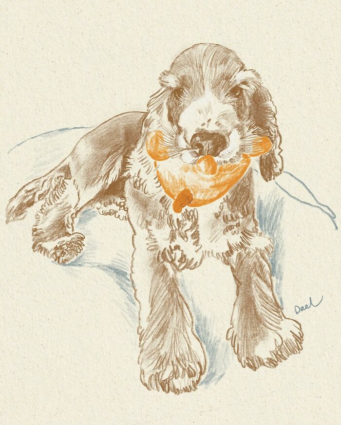 This Artist Draws Dog Portraits That Perfectly Capture Each Pet&rsquo;s Personality (76 Pics)