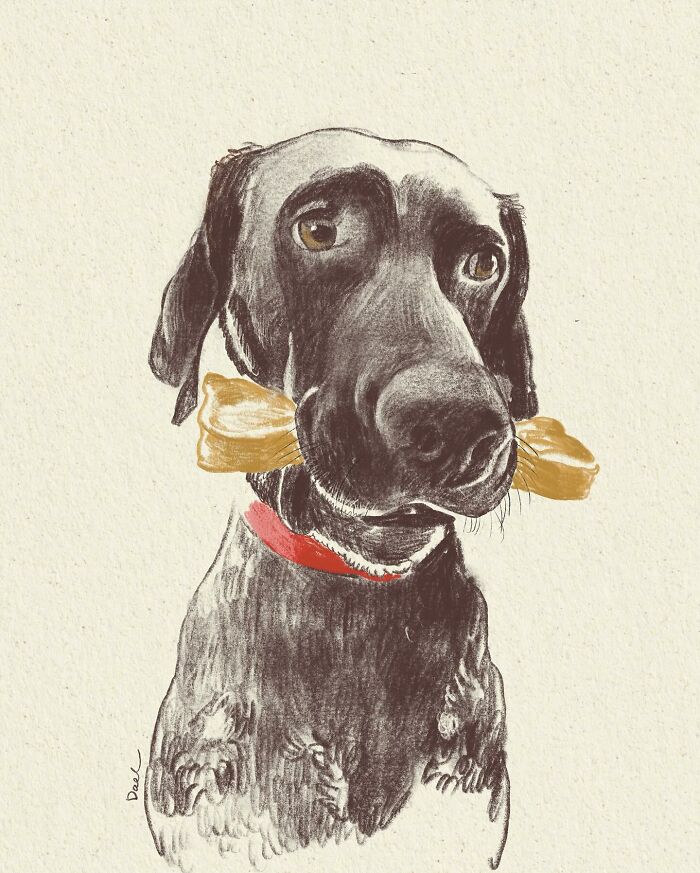 This Artist Draws Dog Portraits That Perfectly Capture Each Pet&rsquo;s Personality (76 Pics)