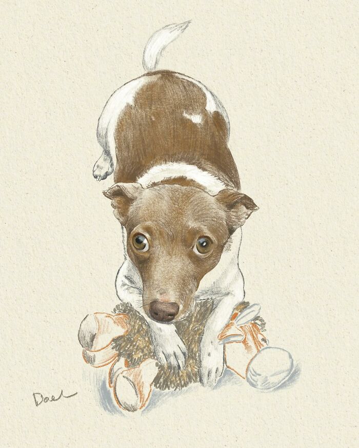 This Artist Draws Dog Portraits That Perfectly Capture Each Pet&rsquo;s Personality (76 Pics)