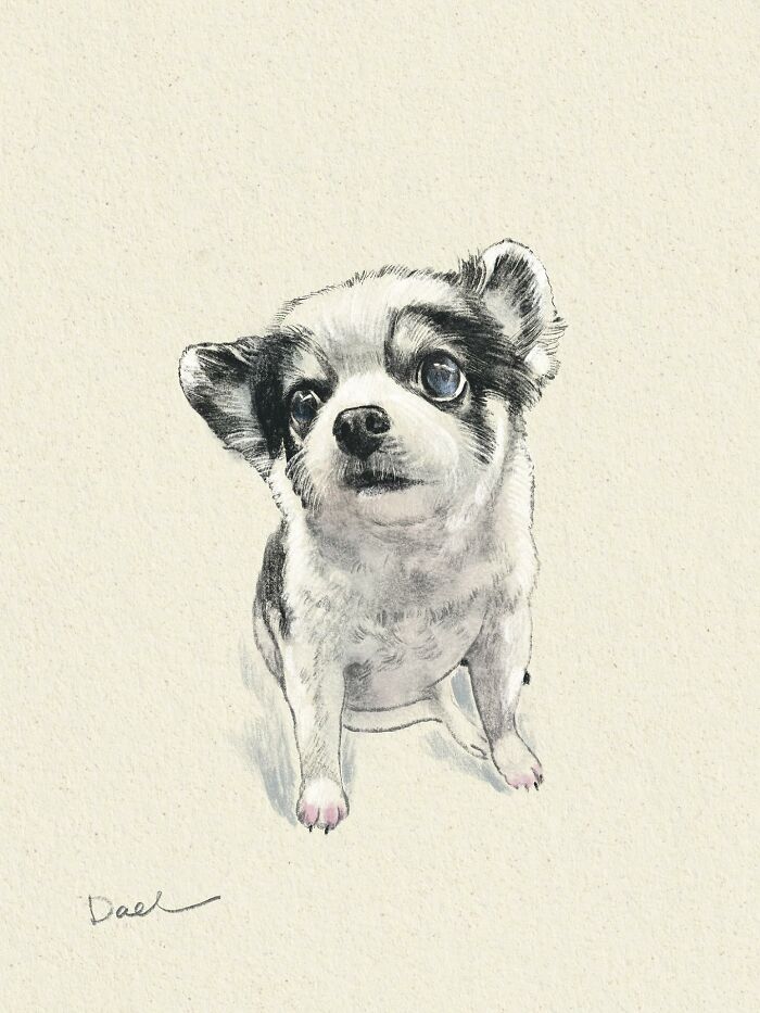 This Artist Draws Dog Portraits That Perfectly Capture Each Pet&rsquo;s Personality (76 Pics)