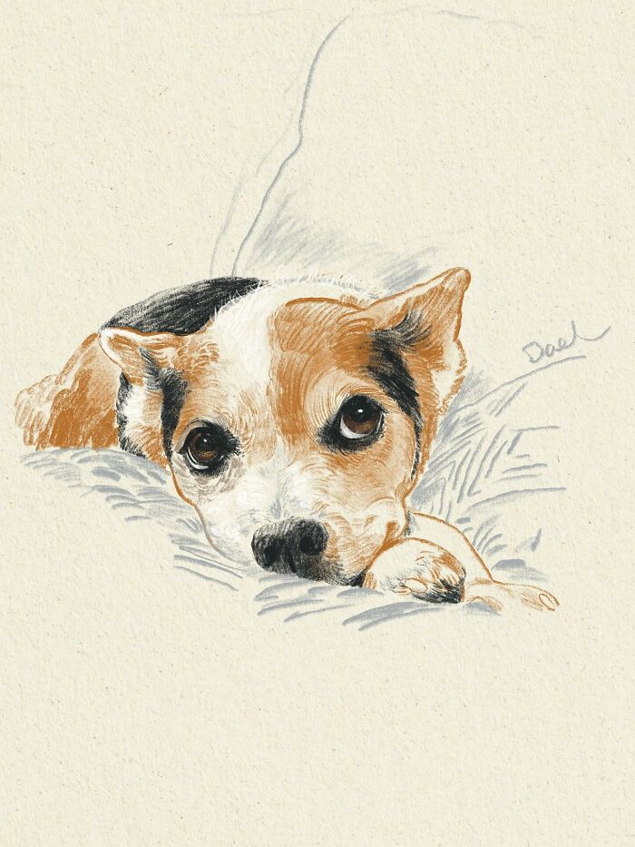 This Artist Draws Dog Portraits That Perfectly Capture Each Pet&rsquo;s Personality (76 Pics)