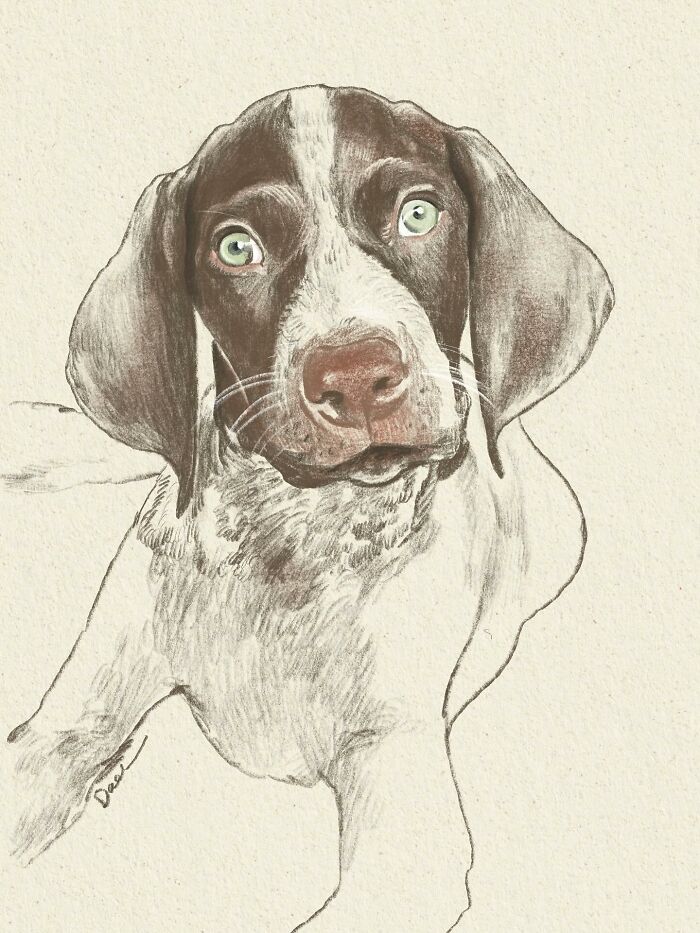 This Artist Draws Dog Portraits That Perfectly Capture Each Pet&rsquo;s Personality (76 Pics)