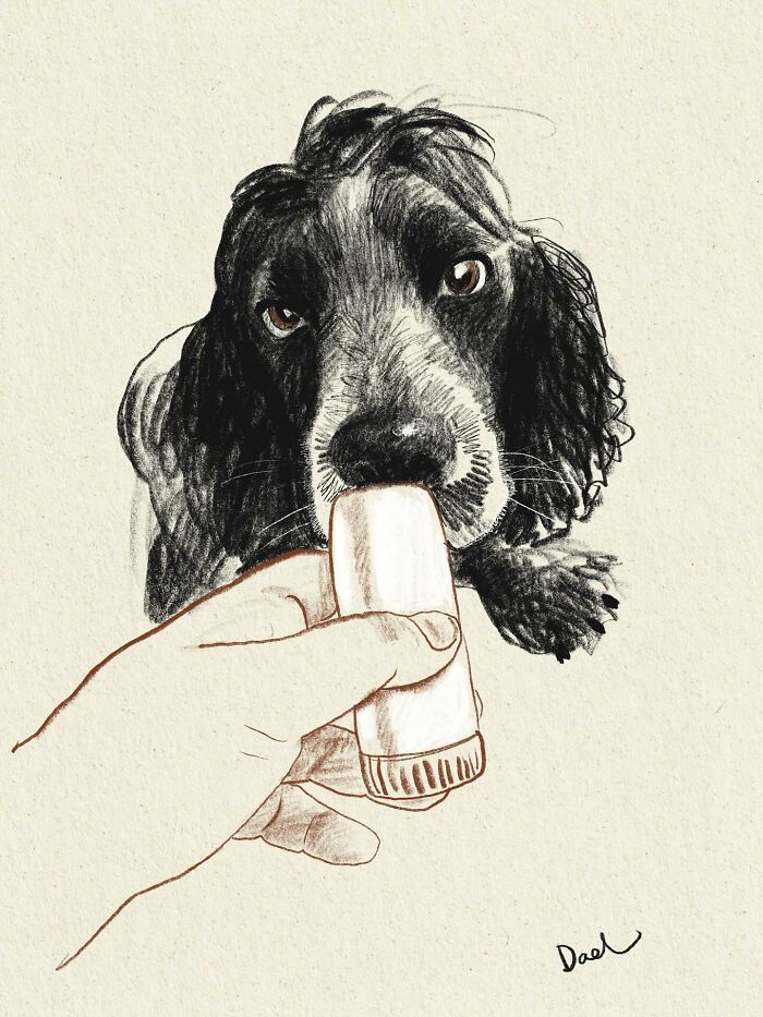 This Artist Draws Dog Portraits That Perfectly Capture Each Pet&rsquo;s Personality (76 Pics)