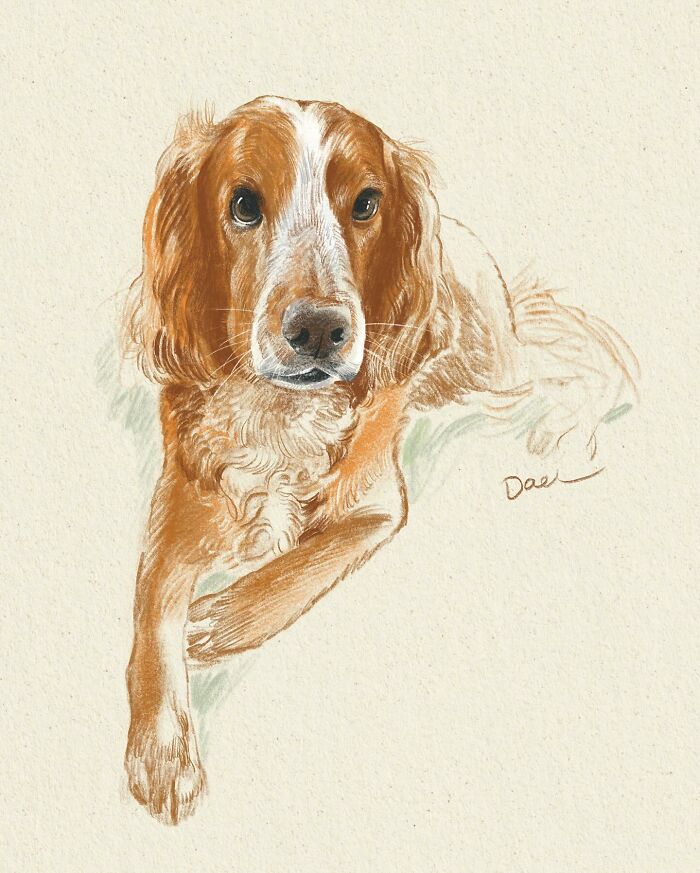 This Artist Draws Dog Portraits That Perfectly Capture Each Pet&rsquo;s Personality (76 Pics)