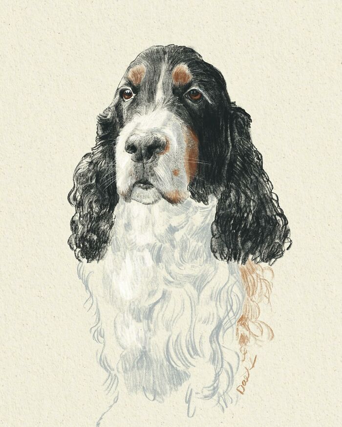 This Artist Draws Dog Portraits That Perfectly Capture Each Pet&rsquo;s Personality (76 Pics)