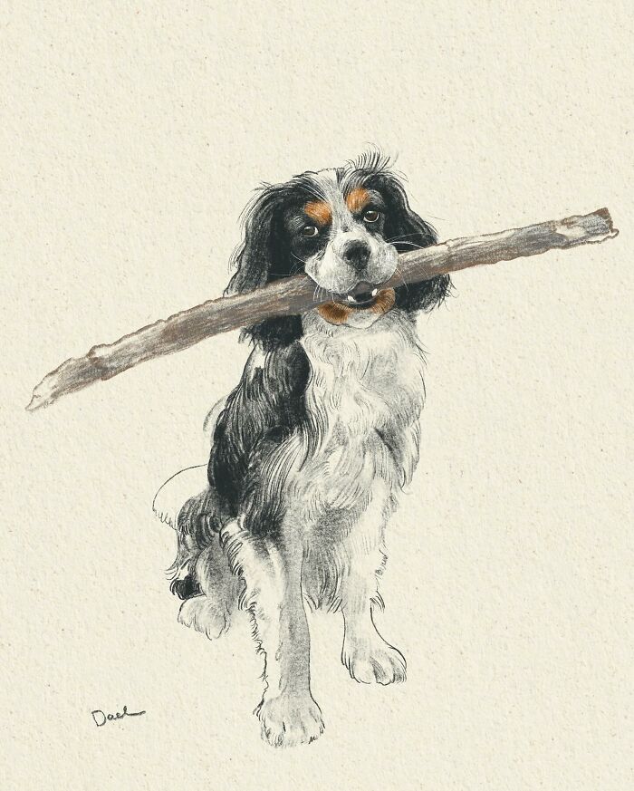 This Artist Draws Dog Portraits That Perfectly Capture Each Pet&rsquo;s Personality (76 Pics)