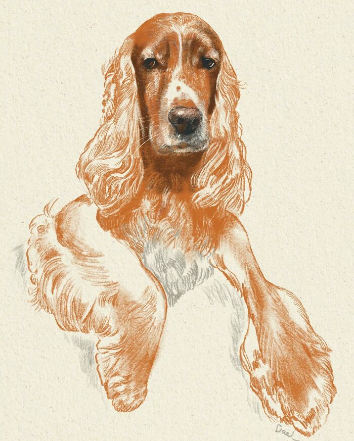 This Artist Draws Dog Portraits That Perfectly Capture Each Pet&rsquo;s Personality (76 Pics)