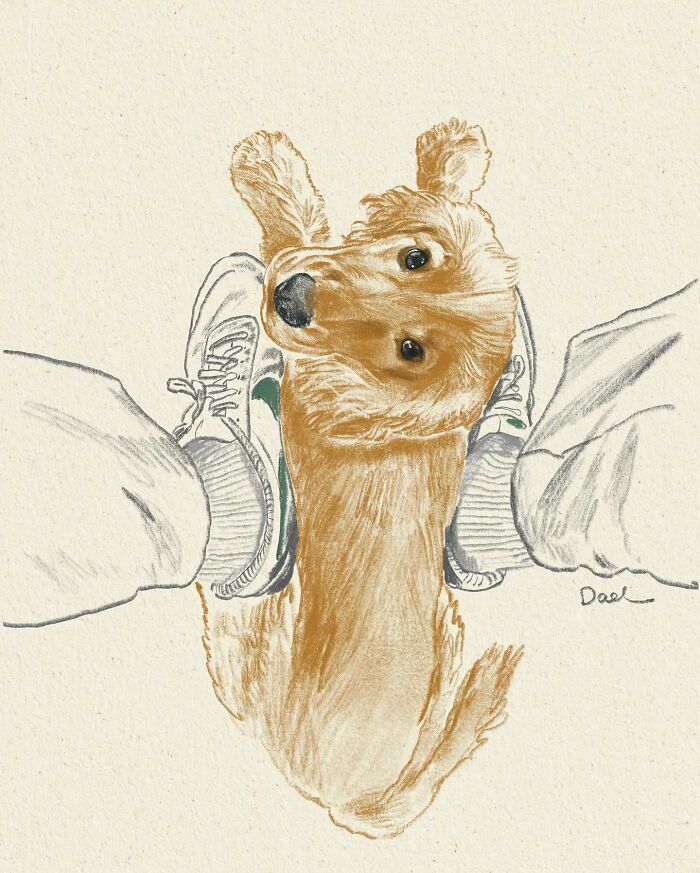 This Artist Draws Dog Portraits That Perfectly Capture Each Pet&rsquo;s Personality (76 Pics)
