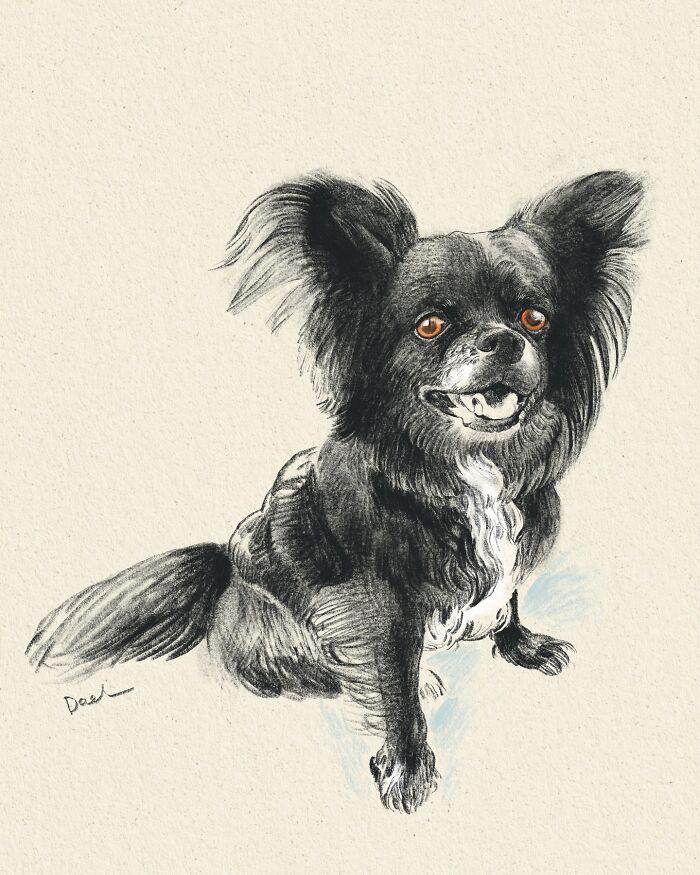 This Artist Draws Dog Portraits That Perfectly Capture Each Pet&rsquo;s Personality (76 Pics)