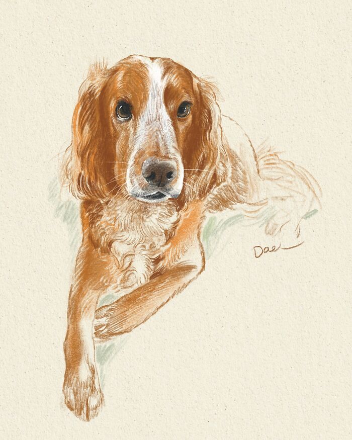 This Artist Draws Dog Portraits That Perfectly Capture Each Pet&rsquo;s Personality (76 Pics)