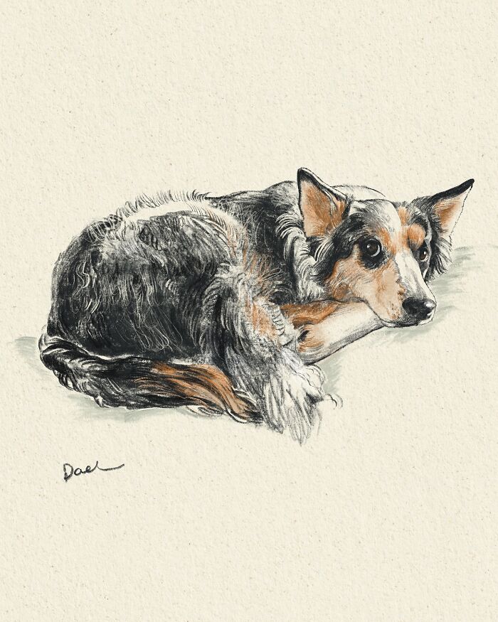 This Artist Draws Dog Portraits That Perfectly Capture Each Pet&rsquo;s Personality (76 Pics)