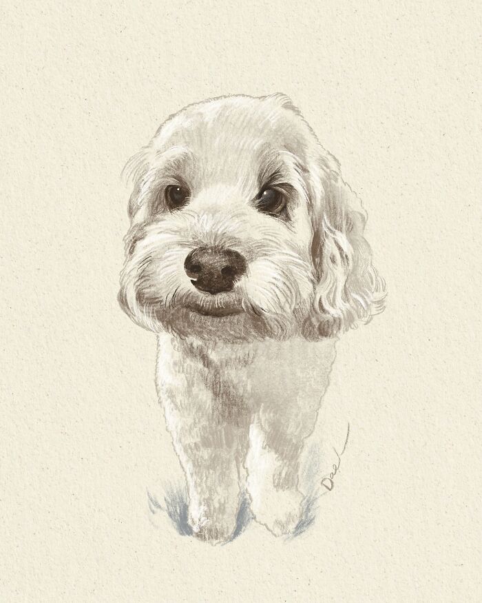 This Artist Draws Dog Portraits That Perfectly Capture Each Pet&rsquo;s Personality (76 Pics)