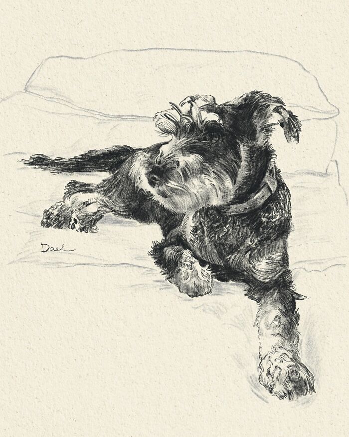 This Artist Draws Dog Portraits That Perfectly Capture Each Pet&rsquo;s Personality (76 Pics)