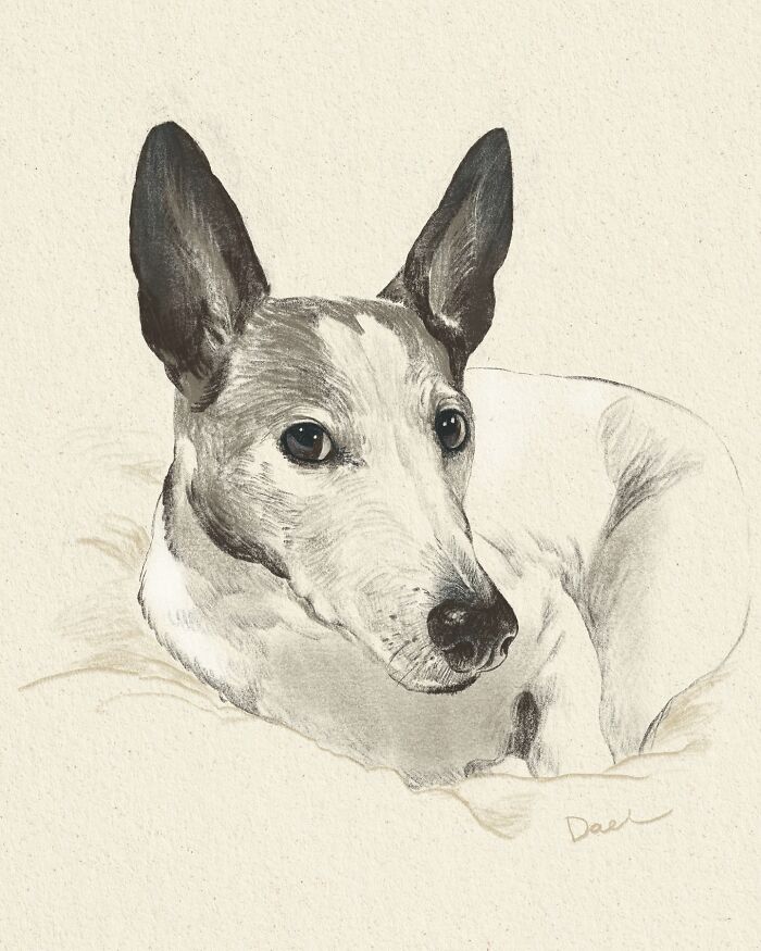 This Artist Draws Dog Portraits That Perfectly Capture Each Pet&rsquo;s Personality (76 Pics)