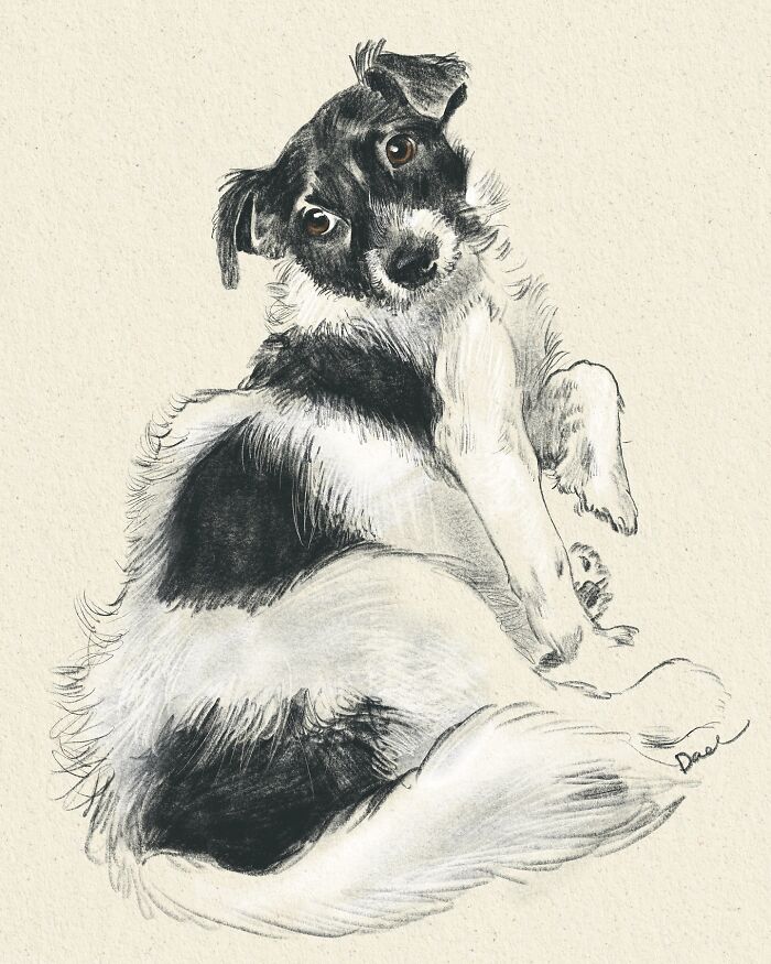 This Artist Draws Dog Portraits That Perfectly Capture Each Pet&rsquo;s Personality (76 Pics)