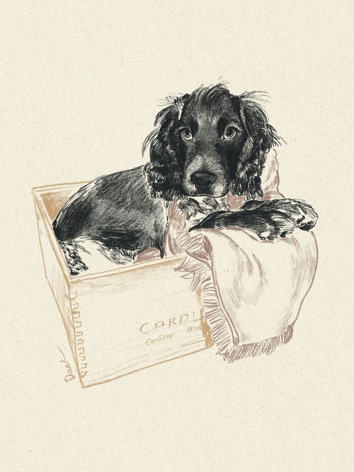 This Artist Draws Dog Portraits That Perfectly Capture Each Pet&rsquo;s Personality (76 Pics)