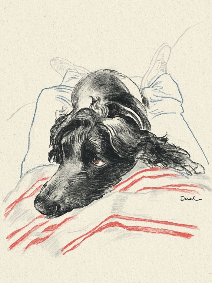 This Artist Draws Dog Portraits That Perfectly Capture Each Pet&rsquo;s Personality (76 Pics)