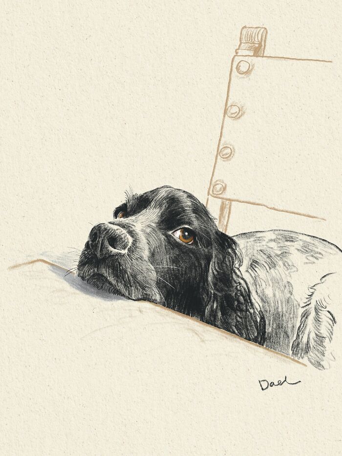 This Artist Draws Dog Portraits That Perfectly Capture Each Pet&rsquo;s Personality (76 Pics)