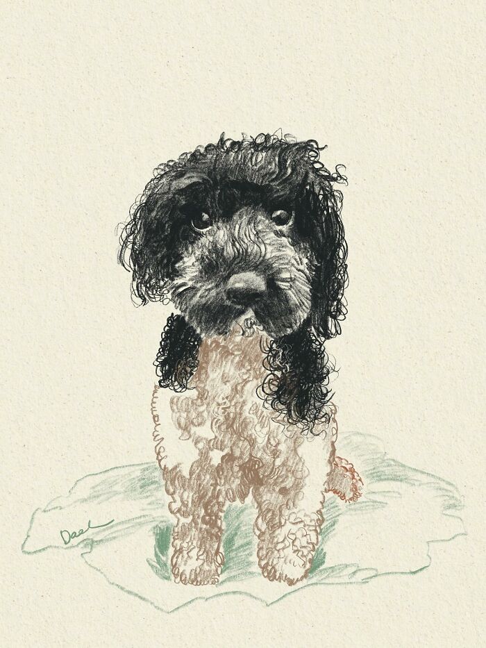 This Artist Draws Dog Portraits That Perfectly Capture Each Pet&rsquo;s Personality (76 Pics)