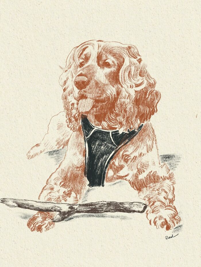 This Artist Draws Dog Portraits That Perfectly Capture Each Pet&rsquo;s Personality (76 Pics)