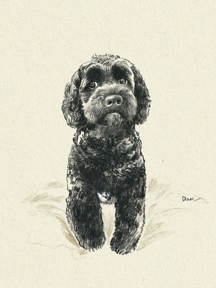 This Artist Draws Dog Portraits That Perfectly Capture Each Pet&rsquo;s Personality (76 Pics)