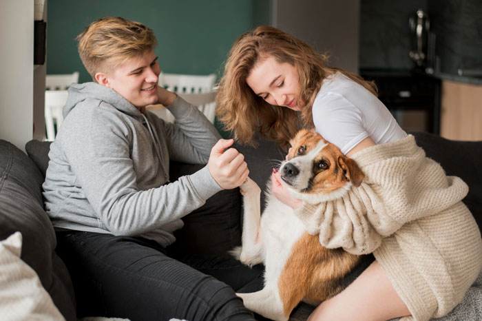 Bride-To-Be Gets Dumped 4 Months Before Wedding, Ex Suddenly Wants Shared Dog Returned Bride-To-Be Gets Dumped 4 Months Before Wedding, Ex Suddenly Wants Shared Dog Returned