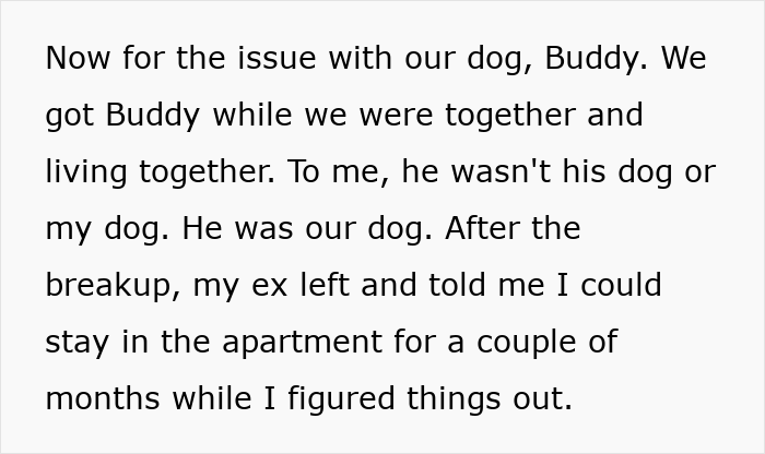 Bride-To-Be Gets Dumped 4 Months Before Wedding, Ex Suddenly Wants Shared Dog Returned Bride-To-Be Gets Dumped 4 Months Before Wedding, Ex Suddenly Wants Shared Dog Returned