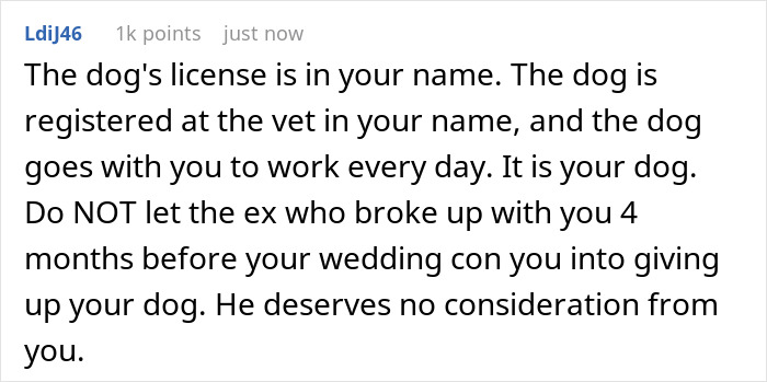 Bride-To-Be Gets Dumped 4 Months Before Wedding, Ex Suddenly Wants Shared Dog Returned Bride-To-Be Gets Dumped 4 Months Before Wedding, Ex Suddenly Wants Shared Dog Returned