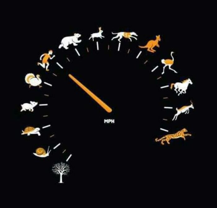 59 Times Designers Tried To Make Something Amazing But Proved That Sometimes Less Is More (New Pics)