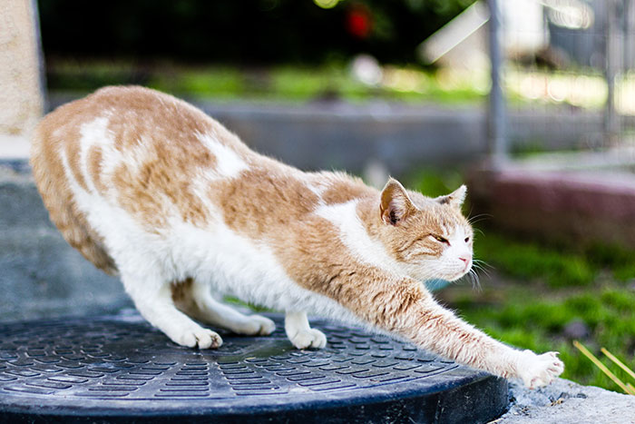 59 Unwritten Rules Between Strangers That Make The World A Better Place