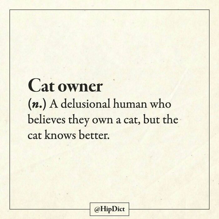 91 Times This Instagram Page Defined Words Better Than The Dictionary Ever Could (New Pics)