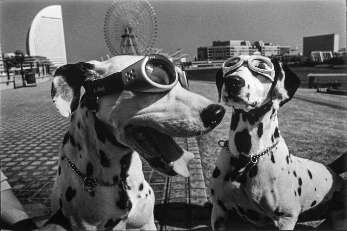 63 Real And Charming Photos That Captured Special And Mundane Moments Of The Past Decades