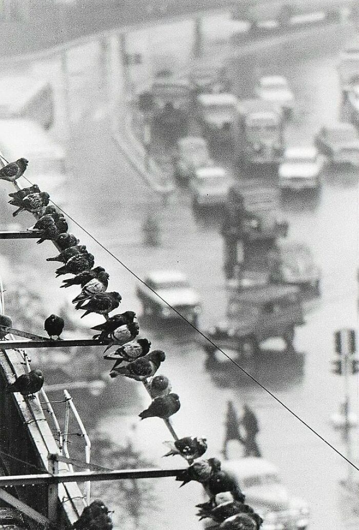 63 Real And Charming Photos That Captured Special And Mundane Moments Of The Past Decades