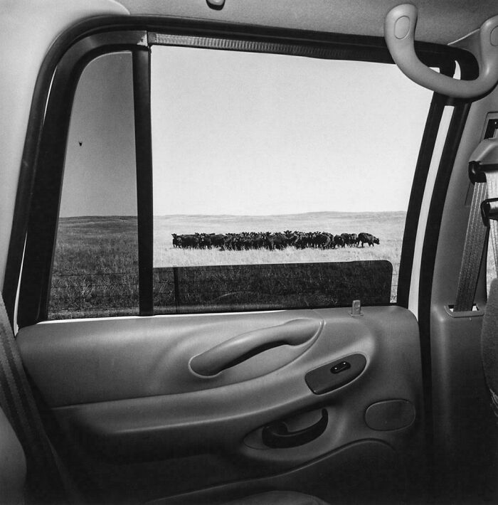 63 Real And Charming Photos That Captured Special And Mundane Moments Of The Past Decades