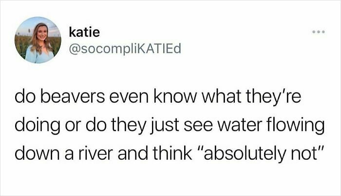 119 Parenting Memes That Capture The Wild And Ridiculous Nature Of Being A Parent 119 Parenting Memes That Capture The Wild And Ridiculous Nature Of Being A Parent