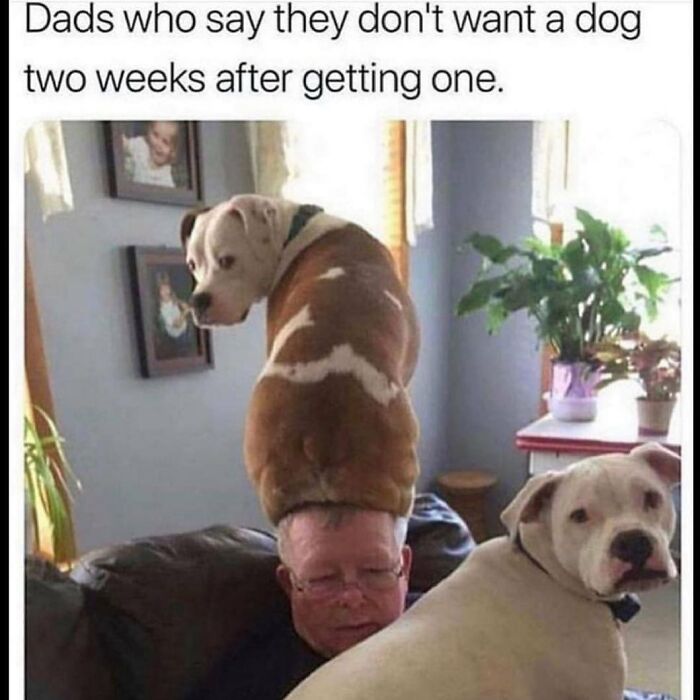 119 Parenting Memes That Capture The Wild And Ridiculous Nature Of Being A Parent 119 Parenting Memes That Capture The Wild And Ridiculous Nature Of Being A Parent