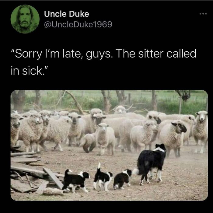 119 Parenting Memes That Capture The Wild And Ridiculous Nature Of Being A Parent 119 Parenting Memes That Capture The Wild And Ridiculous Nature Of Being A Parent