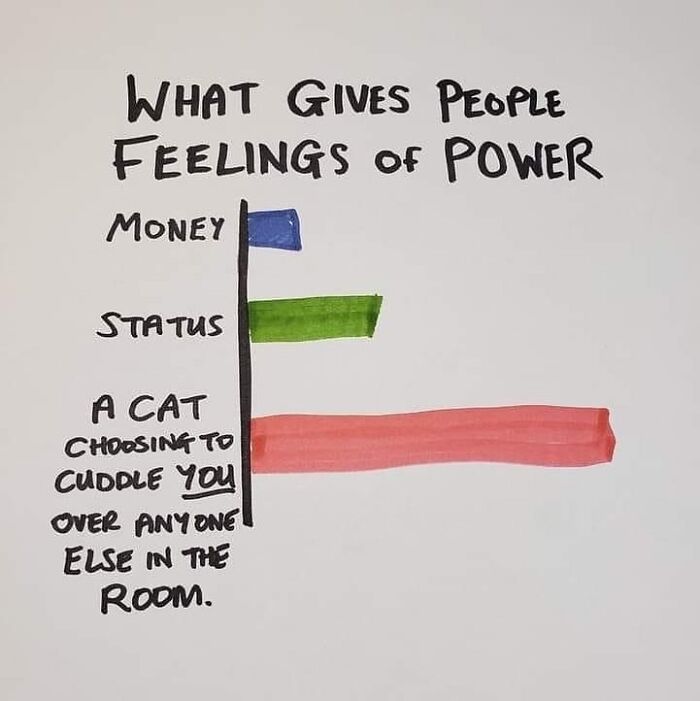 “Cats Of Instagram”: 36 Relatable Memes That Might Instantly Put You In A Good Mood “Cats Of Instagram”: 36 Relatable Memes That Might Instantly Put You In A Good Mood