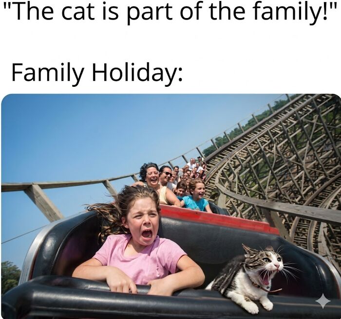 “Cats Of Instagram”: 36 Relatable Memes That Might Instantly Put You In A Good Mood “Cats Of Instagram”: 36 Relatable Memes That Might Instantly Put You In A Good Mood