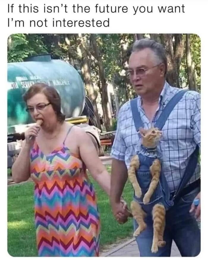 “Cats Of Instagram”: 36 Relatable Memes That Might Instantly Put You In A Good Mood “Cats Of Instagram”: 36 Relatable Memes That Might Instantly Put You In A Good Mood