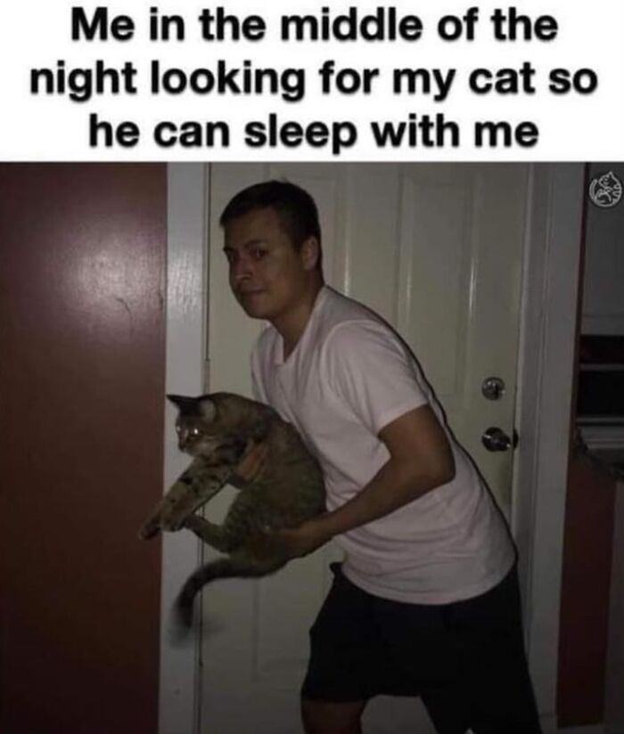 “Cats Of Instagram”: 36 Relatable Memes That Might Instantly Put You In A Good Mood “Cats Of Instagram”: 36 Relatable Memes That Might Instantly Put You In A Good Mood