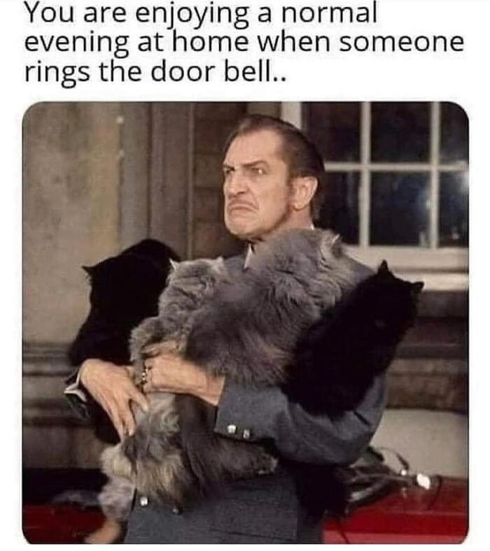 “Cats Of Instagram”: 36 Relatable Memes That Might Instantly Put You In A Good Mood “Cats Of Instagram”: 36 Relatable Memes That Might Instantly Put You In A Good Mood